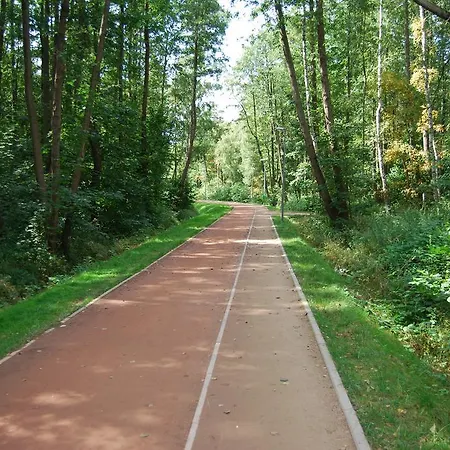 Turkusowy Polanki